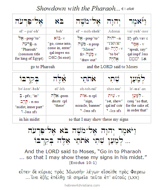 Exodus 10:1 Hebrew Lesson