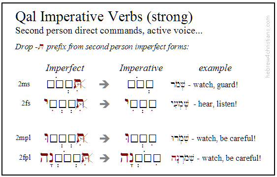 Qal Perfect Strong Paradigm