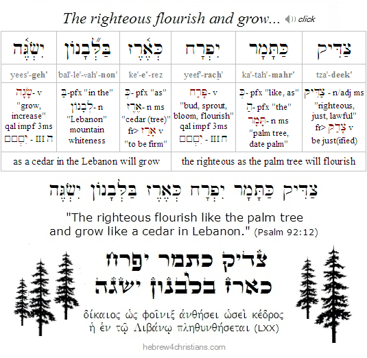 Psalm 92:12 Hebrew lesson