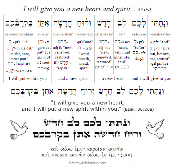 Ezekiel 36:26a Hebrew lesson