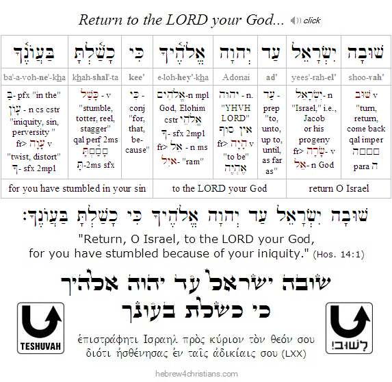 Hosea 14:1 Hebrew analysis